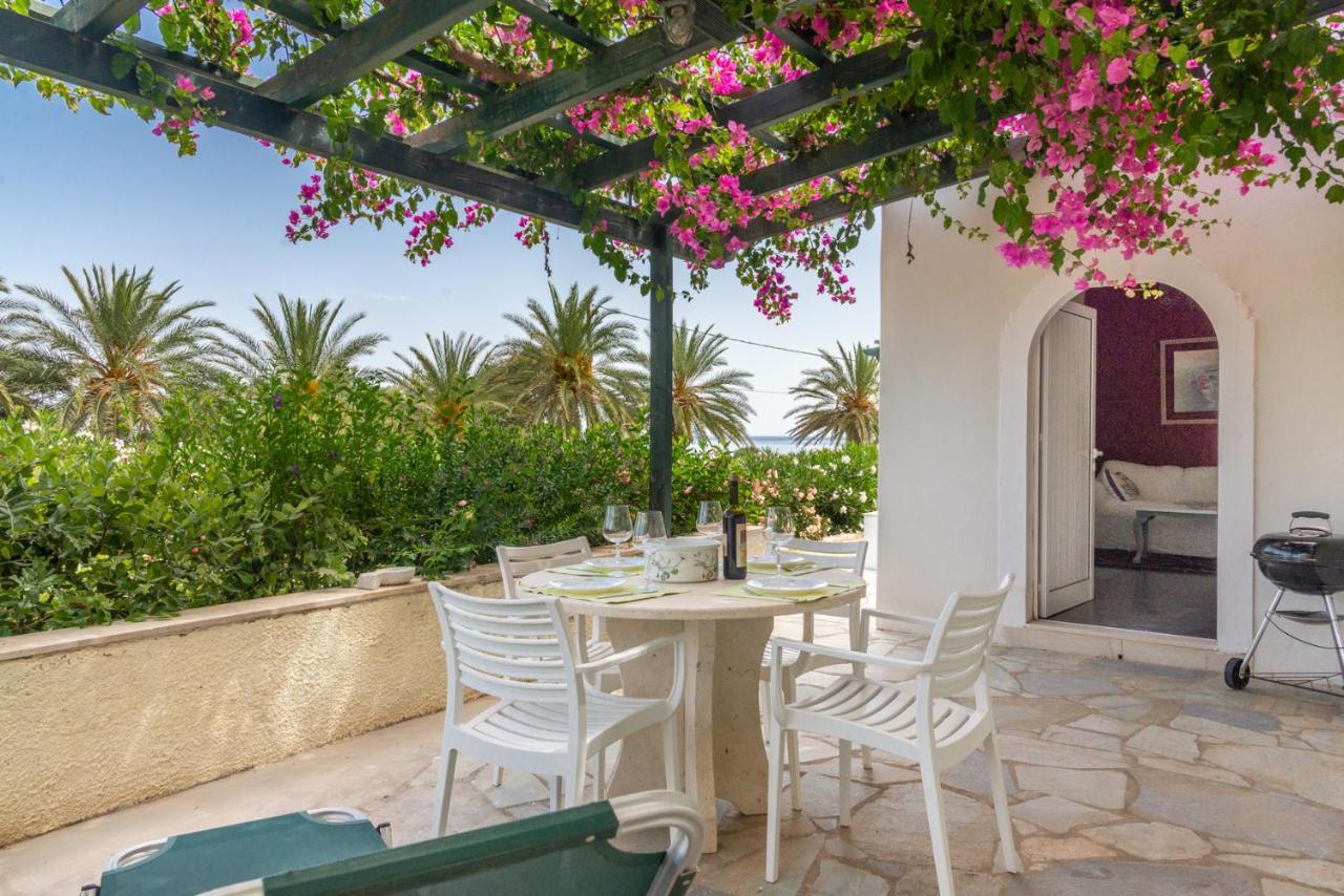 Bougainvillea House In Crete Sitia Exterior foto
