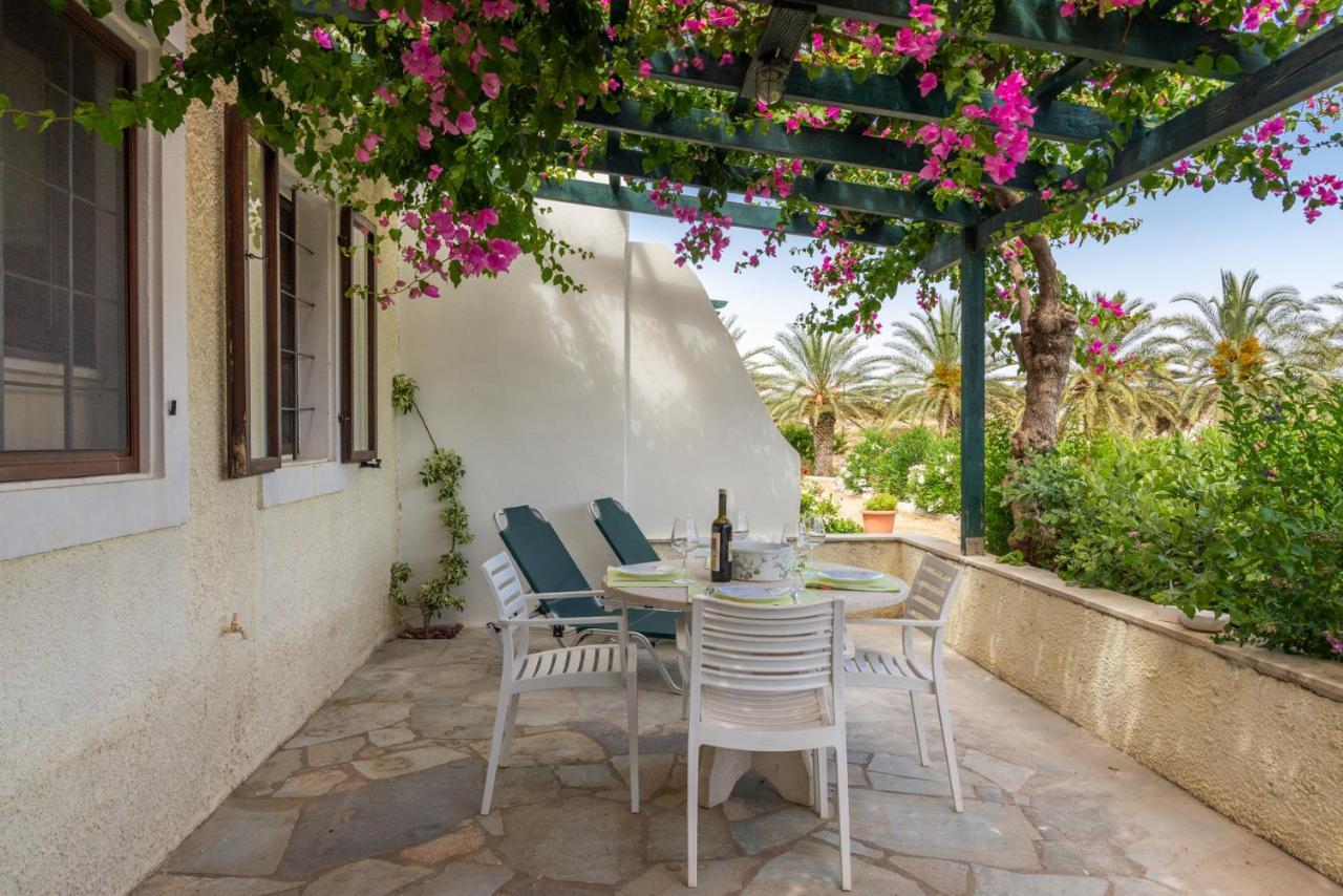 Bougainvillea House In Crete Sitia Exterior foto