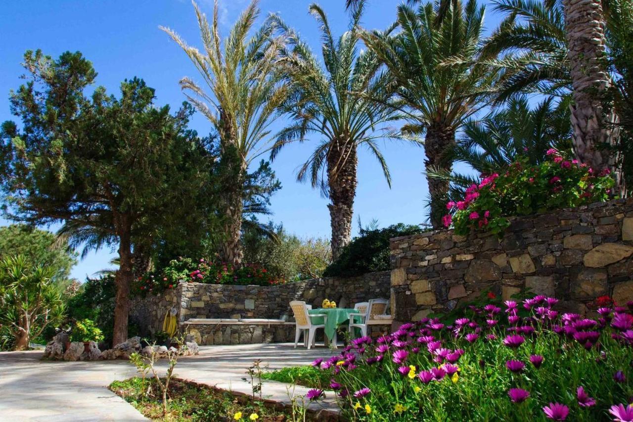 Bougainvillea House In Crete Sitia Exterior foto